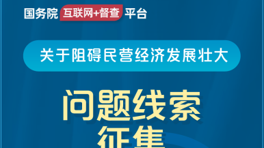 性爱骚视频国务院“互联网+督查”平台公开征集阻碍民营经济发展壮大问题线索